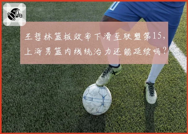 王哲林篮板效率下滑至联盟第15，上海男篮内线统治力还能延续吗？