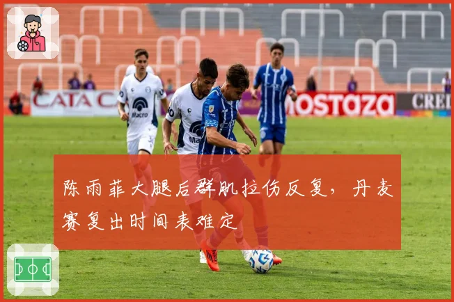 陈雨菲大腿后群肌拉伤反复,丹麦赛复出时间表难定
