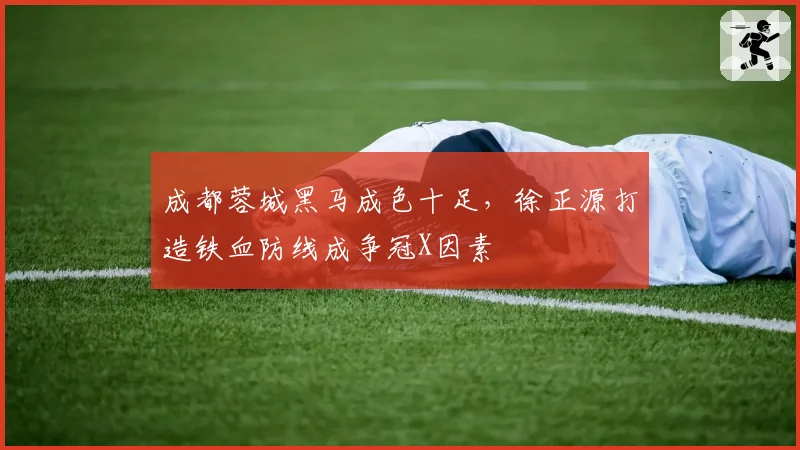 成都蓉城黑马成色十足，徐正源打造铁血防线成争冠X因素