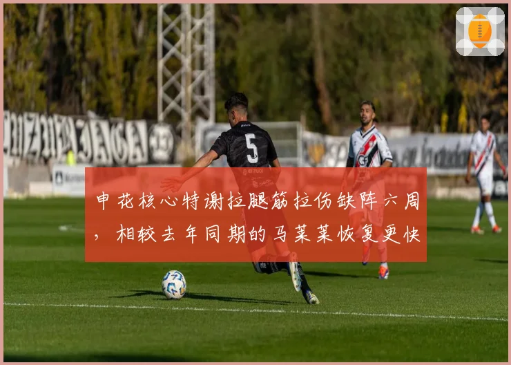 申花核心特谢拉腿筋拉伤缺阵六周，相较去年同期的马莱莱恢复更快