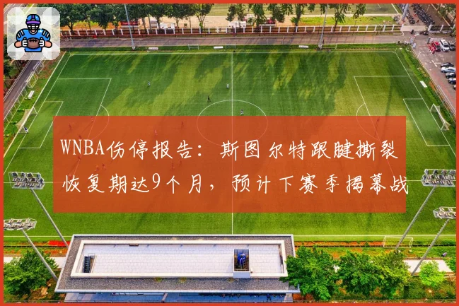WNBA伤停报告：斯图尔特跟腱撕裂恢复期达9个月，预计下赛季揭幕战复出