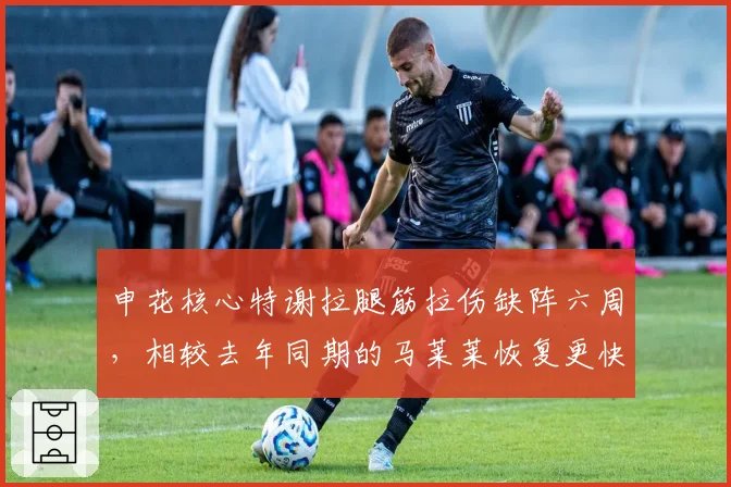 申花核心特谢拉腿筋拉伤缺阵六周，相较去年同期的马莱莱恢复更快